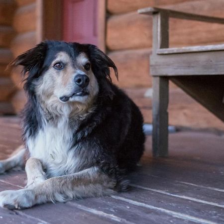 Wells Gray Guest Ranch Hotel Клиъруотър Екстериор снимка