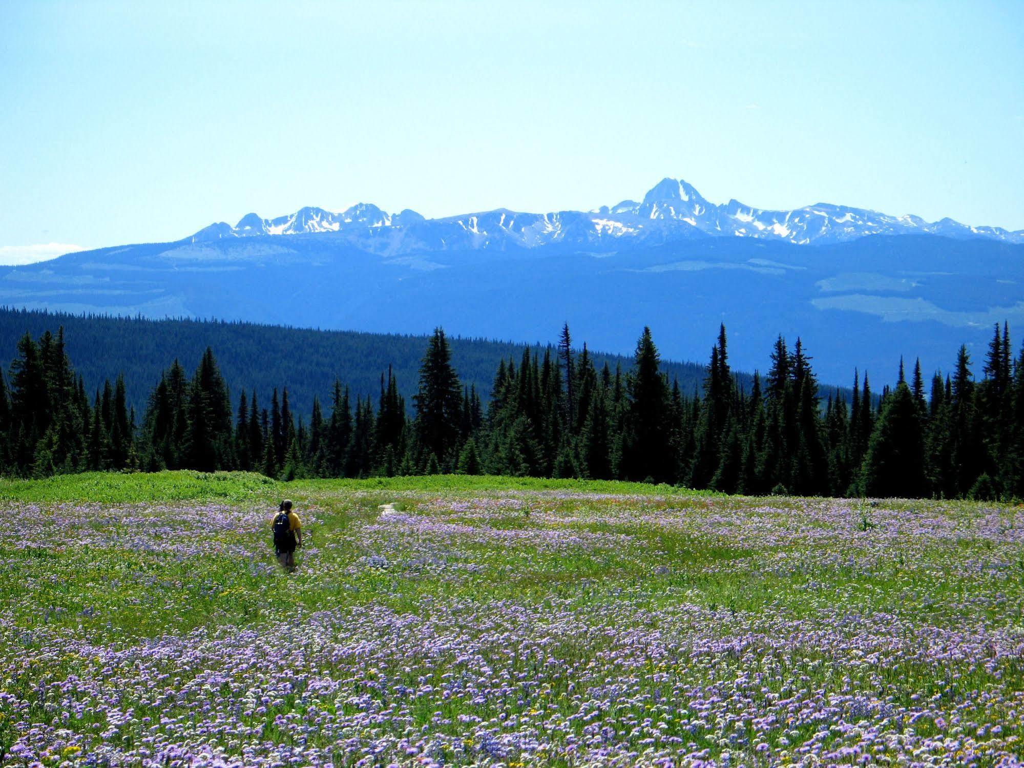 Wells Gray Guest Ranch Hotel Клиъруотър Екстериор снимка